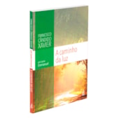 O CAMINHO DA LUZ - Jereni Fernandes De Souza - Editora Novo Milênio - 7
