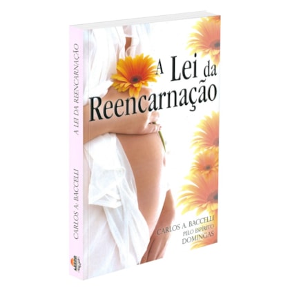 A Lei da Reencarnação