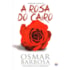 A Rosa Do Cairo
