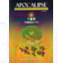 Apocalipse - O Espiritismo no Centro da Grande Revelação Volume II
