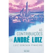 As Contribuiçoes de André Luiz