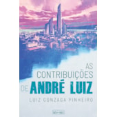 As Contribuiçoes de André Luiz