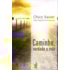 Caminho, Verdade e Vida - Bolso