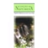 Canção da Natureza