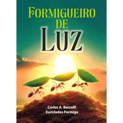 Formigueiro de Luz