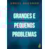 Grandes e Pequenos Problemas