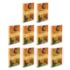 Kit 10 A Gênese - 10 Livros