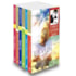 Kit-6 Livros de André Luiz Psicografados por Chico