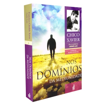 Nos Domínios da Mediunidade