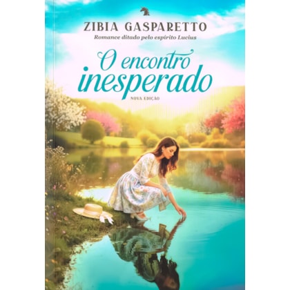 O Encontro Inesperado