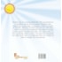 O Girassol que Não Acompanhava o Sol