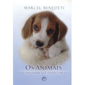Os Animais Conforme o Espiritismo Os Animais Conforme o Espiritismo