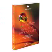 Receitas de Luz e Renovação Receitas de Luz e Renovação