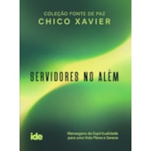 Servidores no Além - Bolso