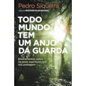 Todo Mundo Tem Um Anjo da Guarda - Ensinamentos Sobre os Seres Espirituais que nos Protejem