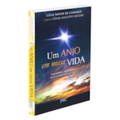 Um Anjo em Nossa Vida