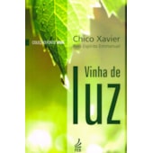 Vinha de Luz